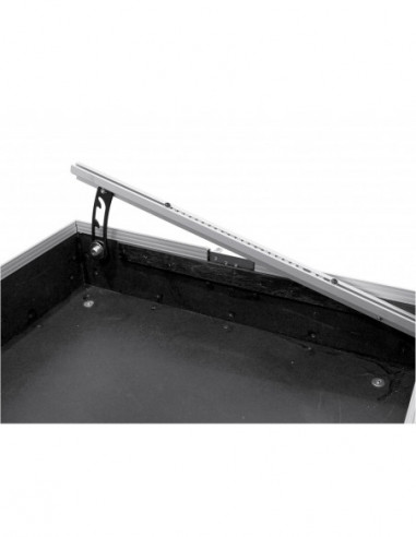 ROADINGER Mixer Case Pro MCV-19...