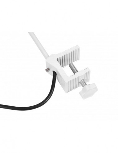 EUROLITE LED KKL-30 Floodlight 4100K...