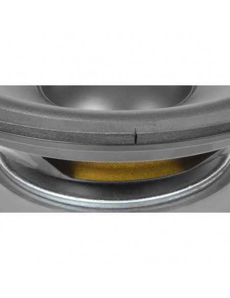 Skytec Hi-Fi woofer - Altifalante 10" 125Wrms