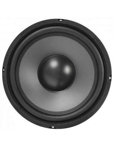 Skytec Hi-Fi woofer - Altifalante 10" 125Wrms