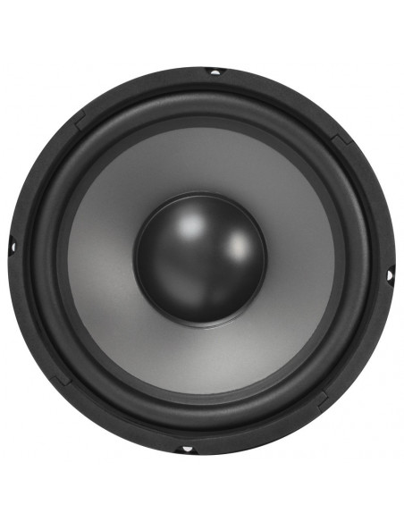 Skytec Hi-Fi woofer - Altifalante 10" 125Wrms