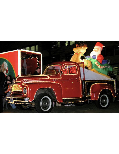 EUROLITE RUBBERLIGHT RL1-230V green 44m