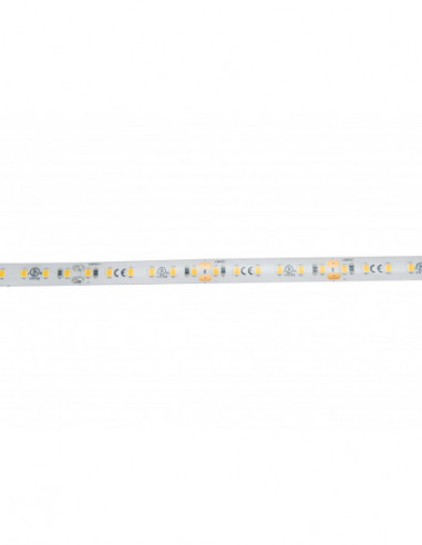 EUROLITE LED IP Strip 600 5m 2835...