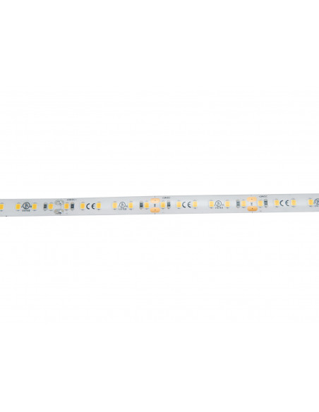 EUROLITE LED IP Strip 600 5m 2835 2700K 24V