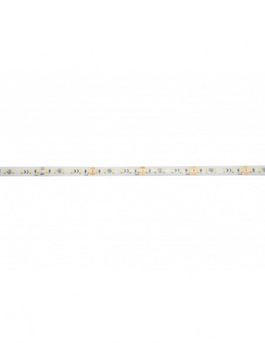 EUROLITE LED IP Strip 600 5m 2835...