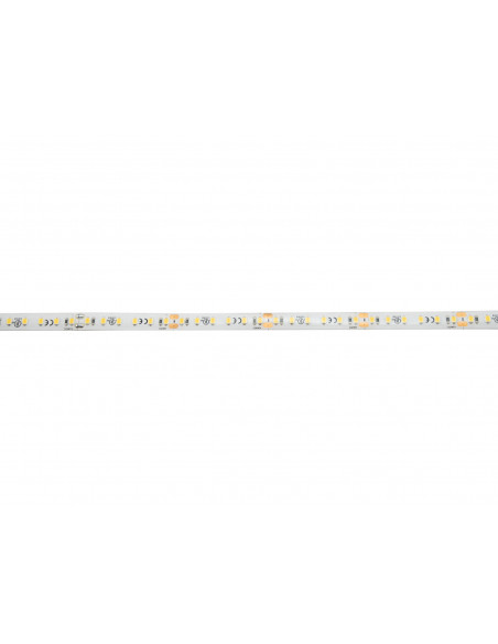 EUROLITE LED IP Strip 600 5m 2835 4000K 24V