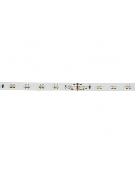 EUROLITE LED Strip 600 5m 3528 2700+5700K 24V