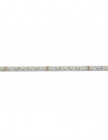 EUROLITE LED Strip 300 5m 5050...