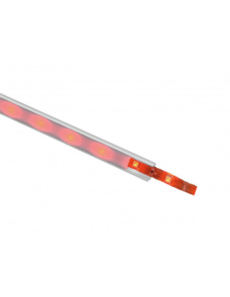 EUROLITE LED IP Strip 150 5m RGB 12V