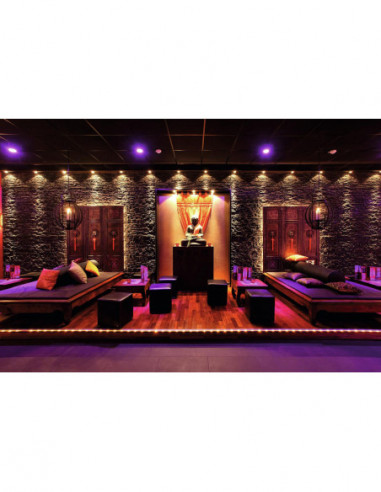 EUROLITE LED IP Strip 150 5m RGB 12V