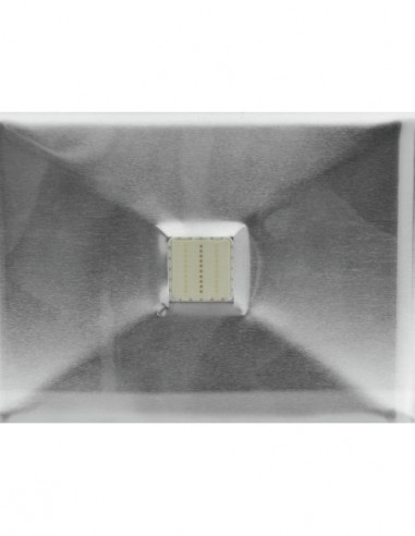 EUROLITE LED IP FL-50 COB RGB 120° RC