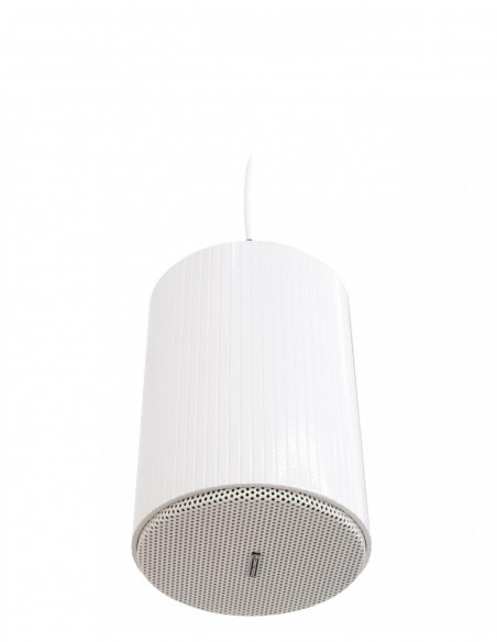 OMNITRONIC WP-25W Ceiling Speaker