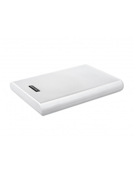 OMNITRONIC FPS-5 PA Wall Speaker