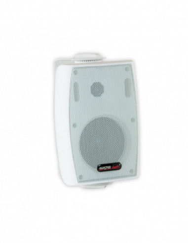 Two way fashion speaker with power switch 8 Ohms / 70 100 Volts