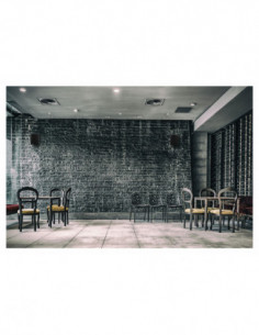 Pronomic USP-540 BK Pair... 2