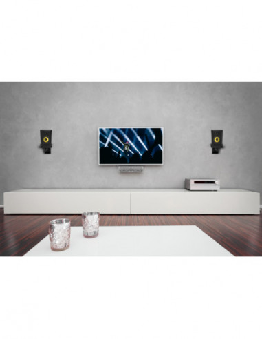 Pronomic SWM-25 BK Wall Mount for...