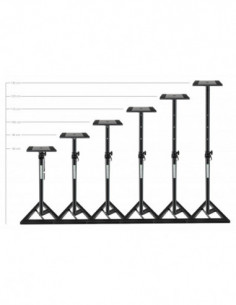 Pronomic SLS-10 stand for... 2