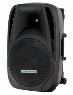 Pronomic PH12AW... 2