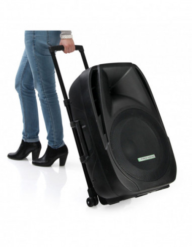 Pronomic PH15AW battery-powered...