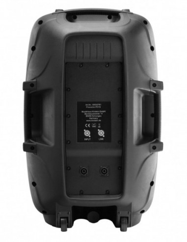 Pronomic PH15 passive speaker 190/350...