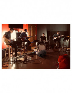 Pronomic E-212 MA 12"... 2