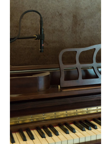 SE Electronics SE7 Microfone Condensador