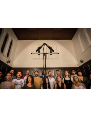 SE Electronics SE8 Microfone Condensador