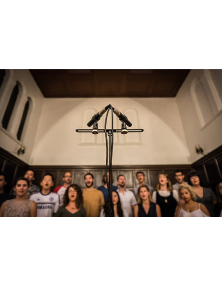 SE Electronics SE8 Microfone Condensador