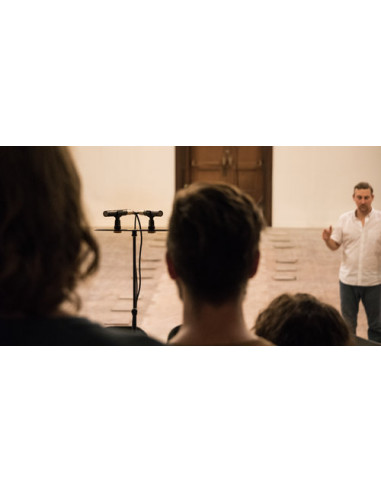 SE Electronics SE8 Microfone Condensador