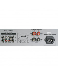 SkyTronic Amplificador Stereo 2x50W 2