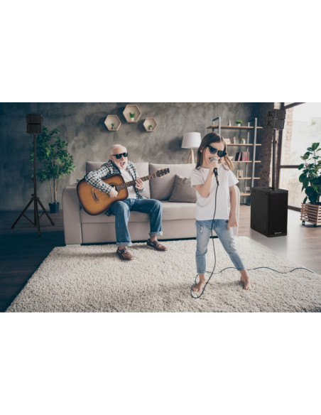 V-Array Compact Set 800Watts PA Activo