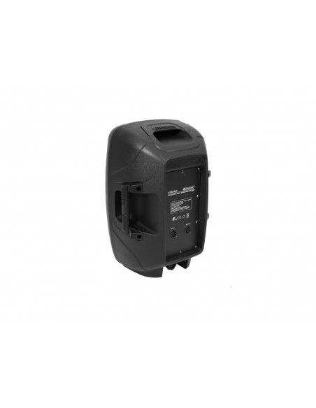 OMNITRONIC VFM-210 2-way Speaker